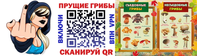 Псилоцибиновые грибы MAGIC MUSHROOMS  hydra зеркало  Тулун 