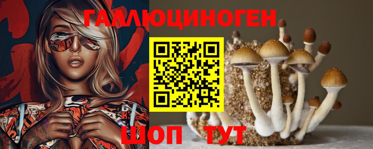 Псилоцибиновые грибы MAGIC MUSHROOMS Тулун